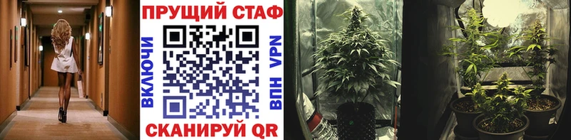 Наркошоп купить ГАШ ТГК Alpha PVP МАРИХУАНА Меф Кокаин Удачный