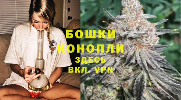 мет Гусев