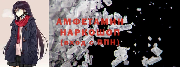 амф Гусь-Хрустальный