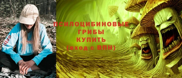 мет Гусев