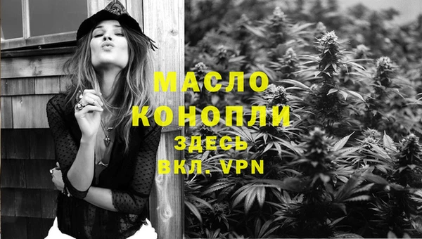 амф Гусь-Хрустальный