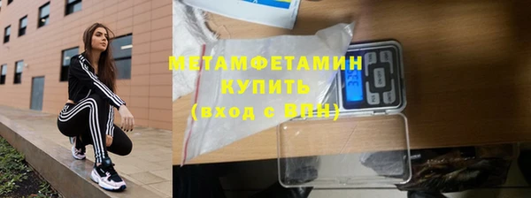 амф Гусь-Хрустальный