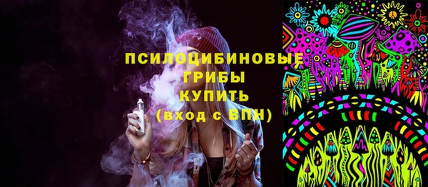 мет Гусев