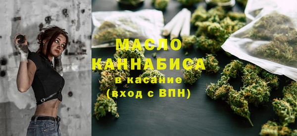 амф Гусь-Хрустальный