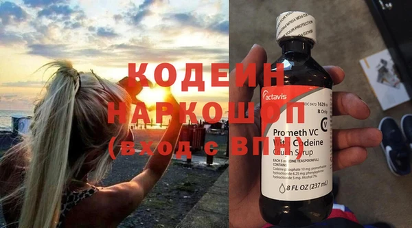 амф Гусь-Хрустальный
