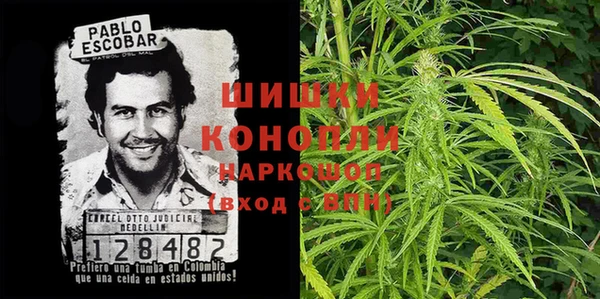 амф Гусь-Хрустальный